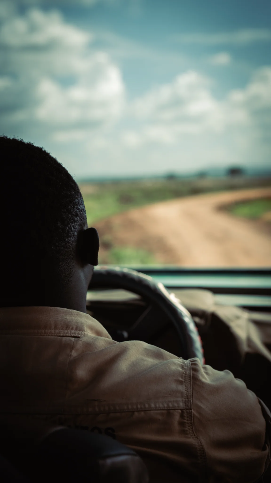 Mikumi Safari Day Trip