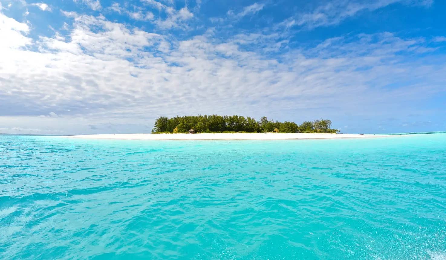 Mnemba Island Tour