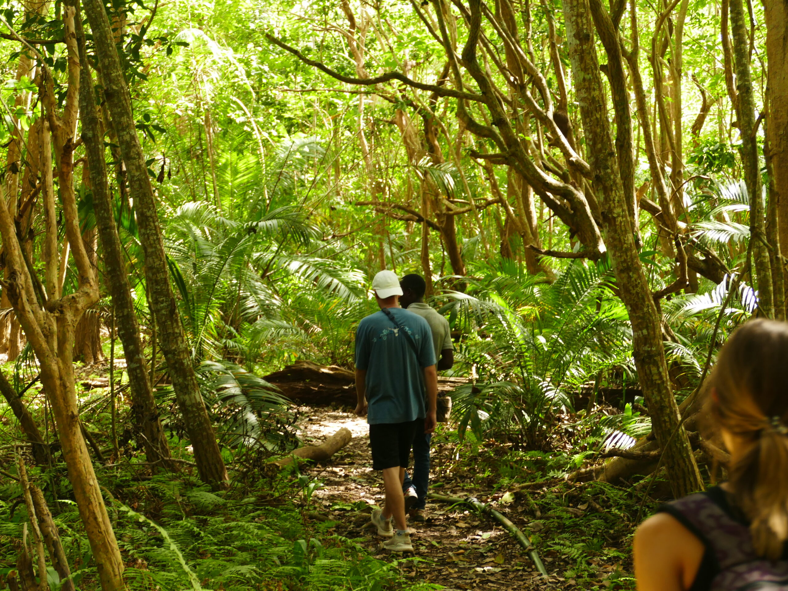 jozani forest guided tour