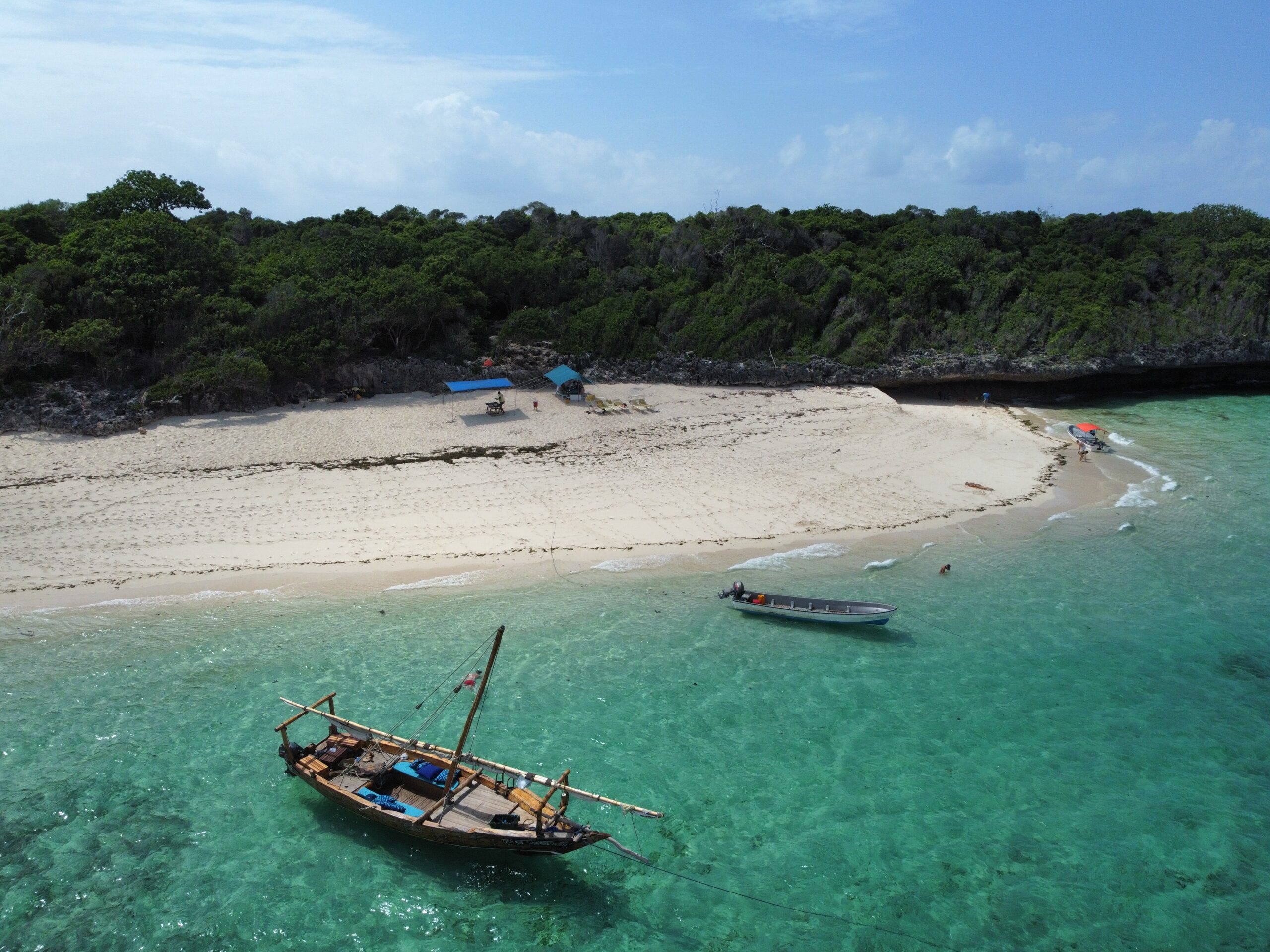 pungume island boat tour