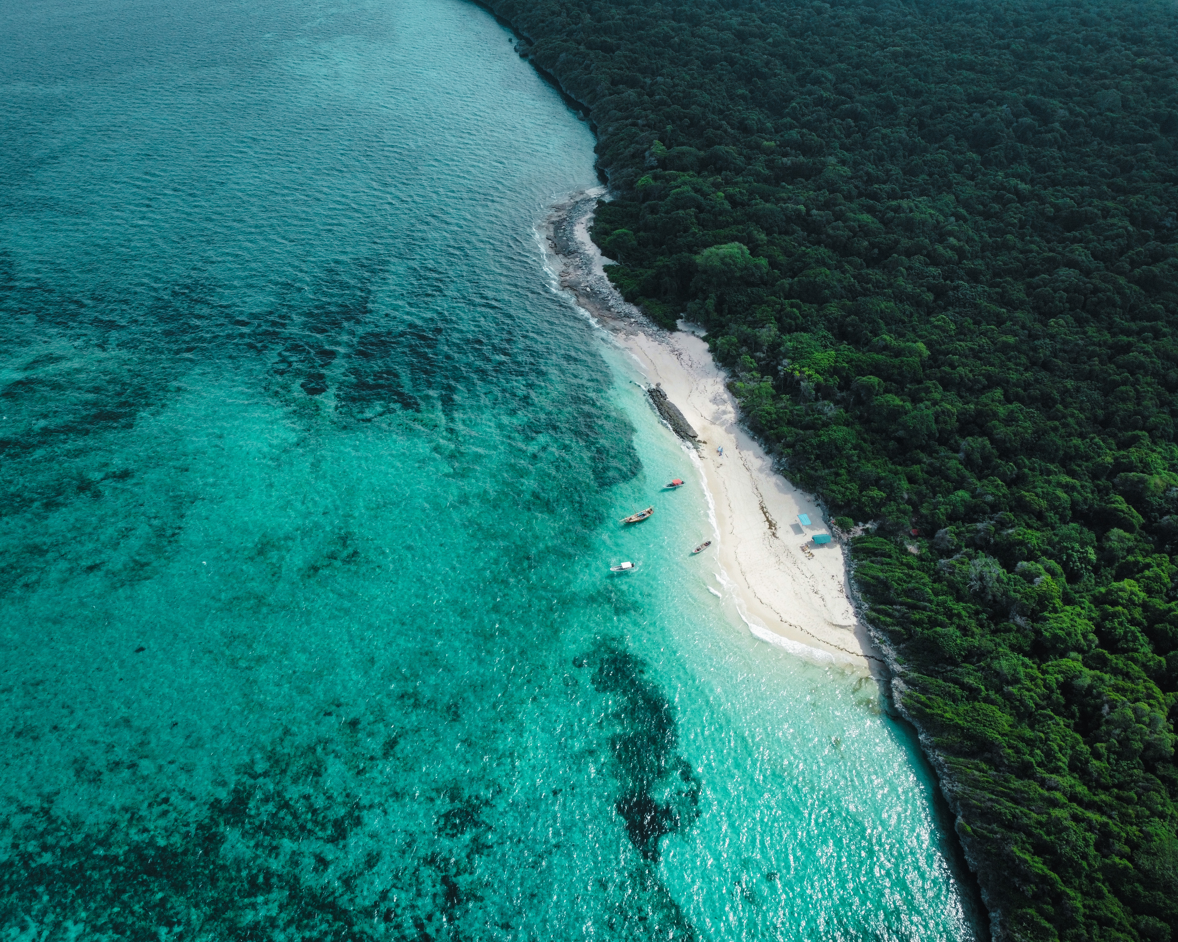 pungume island beach