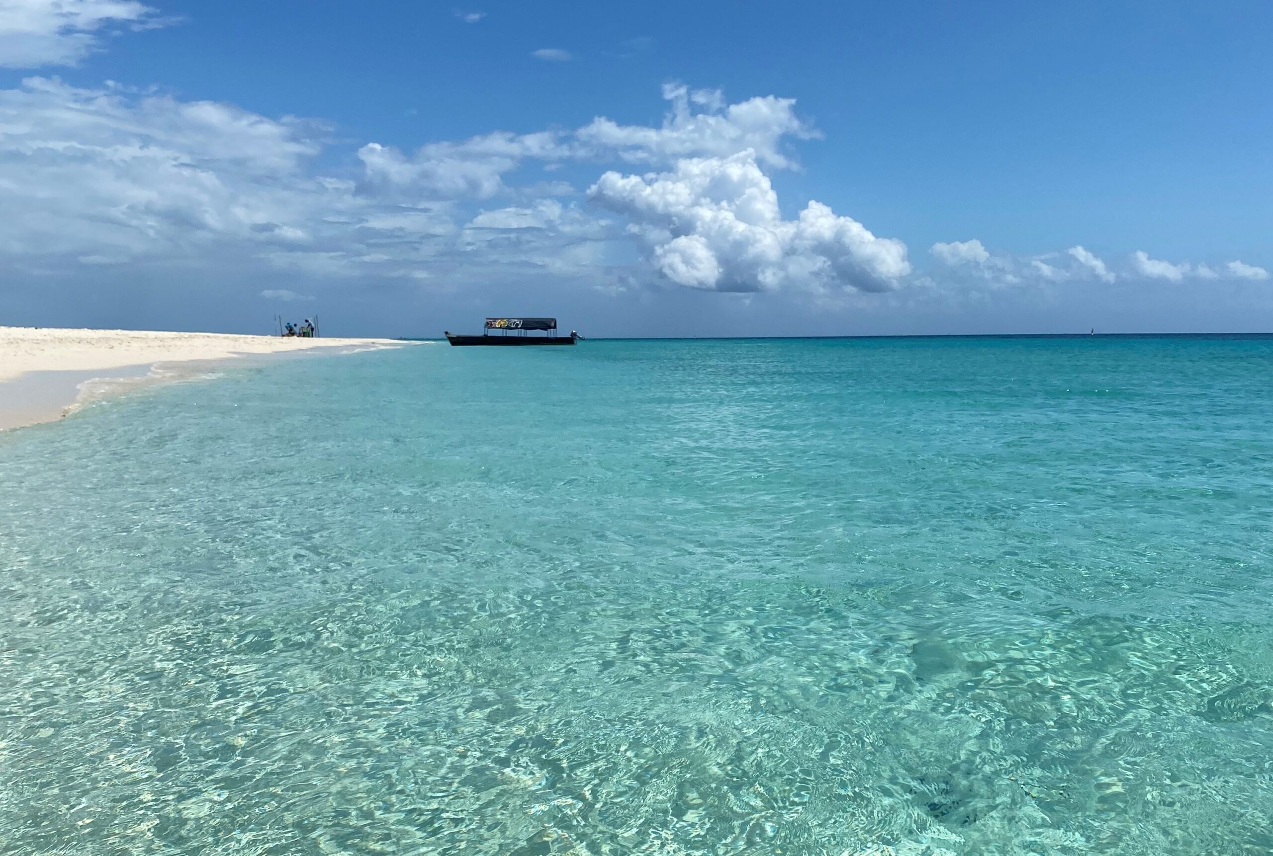 pungume sandbank