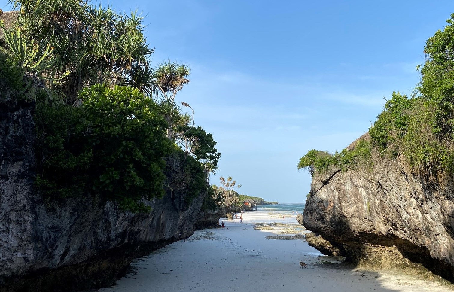 zanzibar south mtende