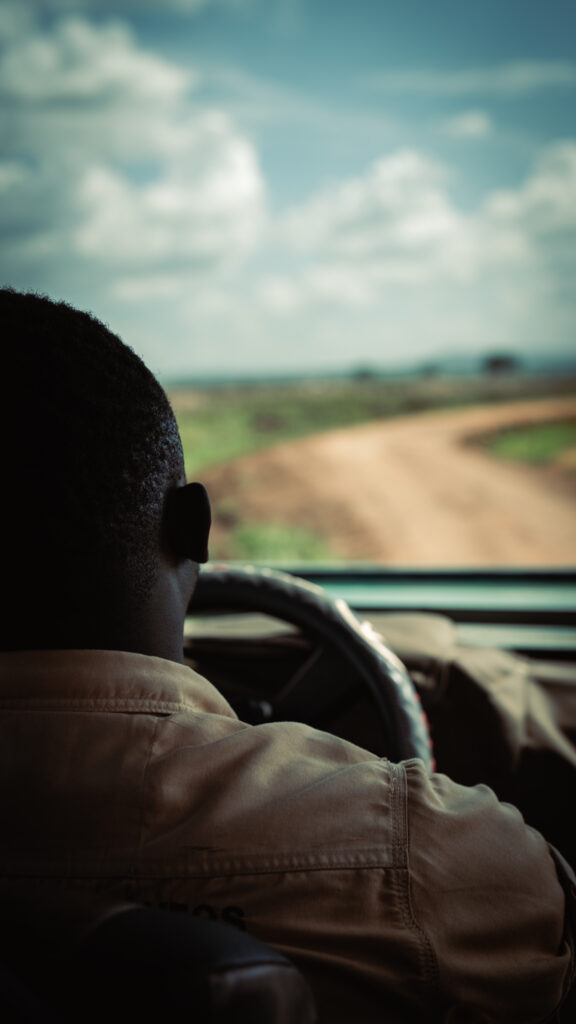 a professional safari guide driving the jeep