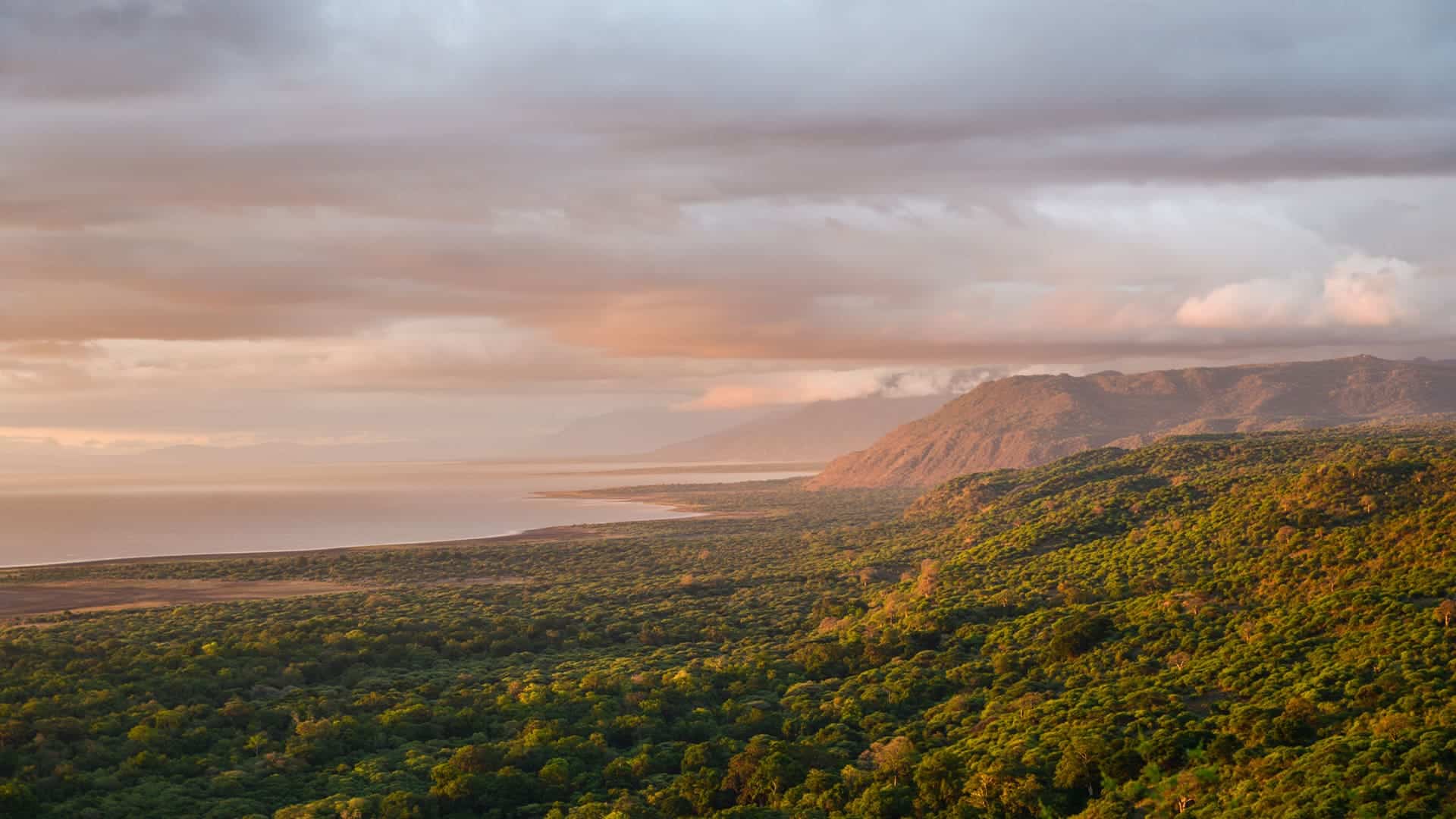 aerial view of lake manyara